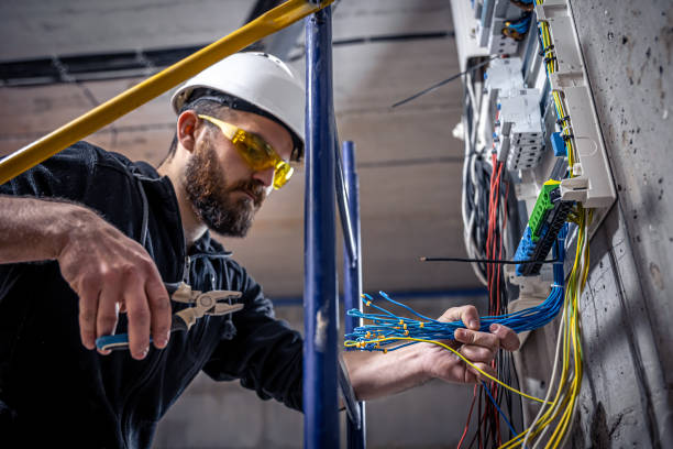 Best Local Electrician Companies  in Greensboro, AL